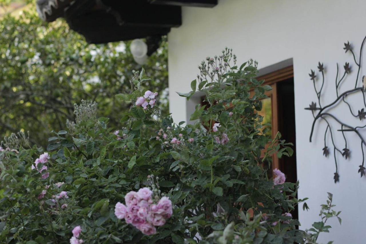 Hotel Y Jardines Casa Buho Antigua Kültér fotó
