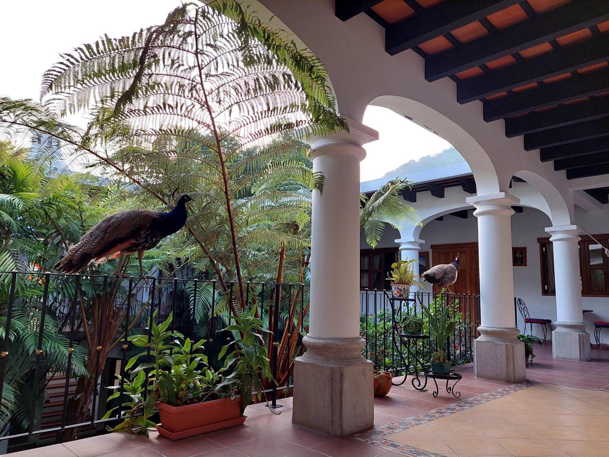 Hotel Y Jardines Casa Buho Antigua Kültér fotó