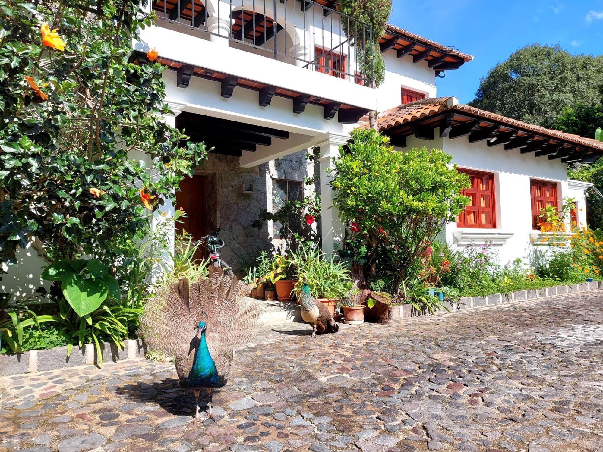 Hotel Y Jardines Casa Buho Antigua Kültér fotó