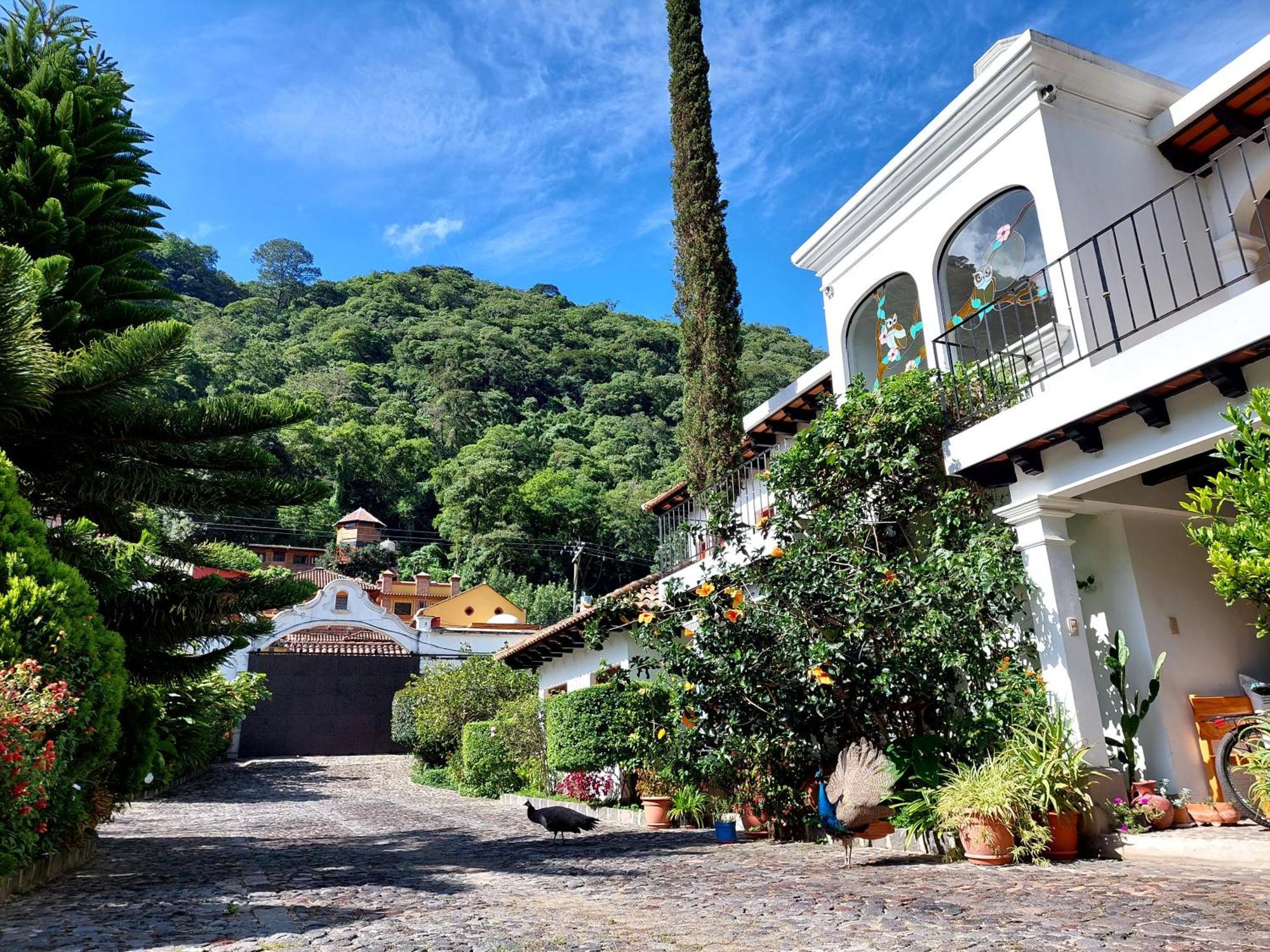 Hotel Y Jardines Casa Buho Antigua Kültér fotó